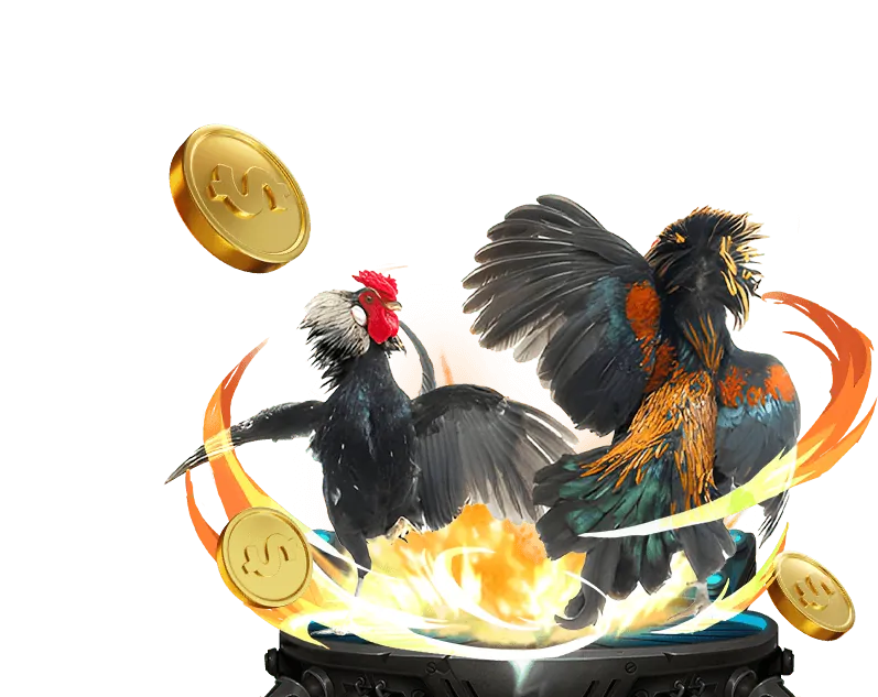 Cá cược thể thao tại TOT88